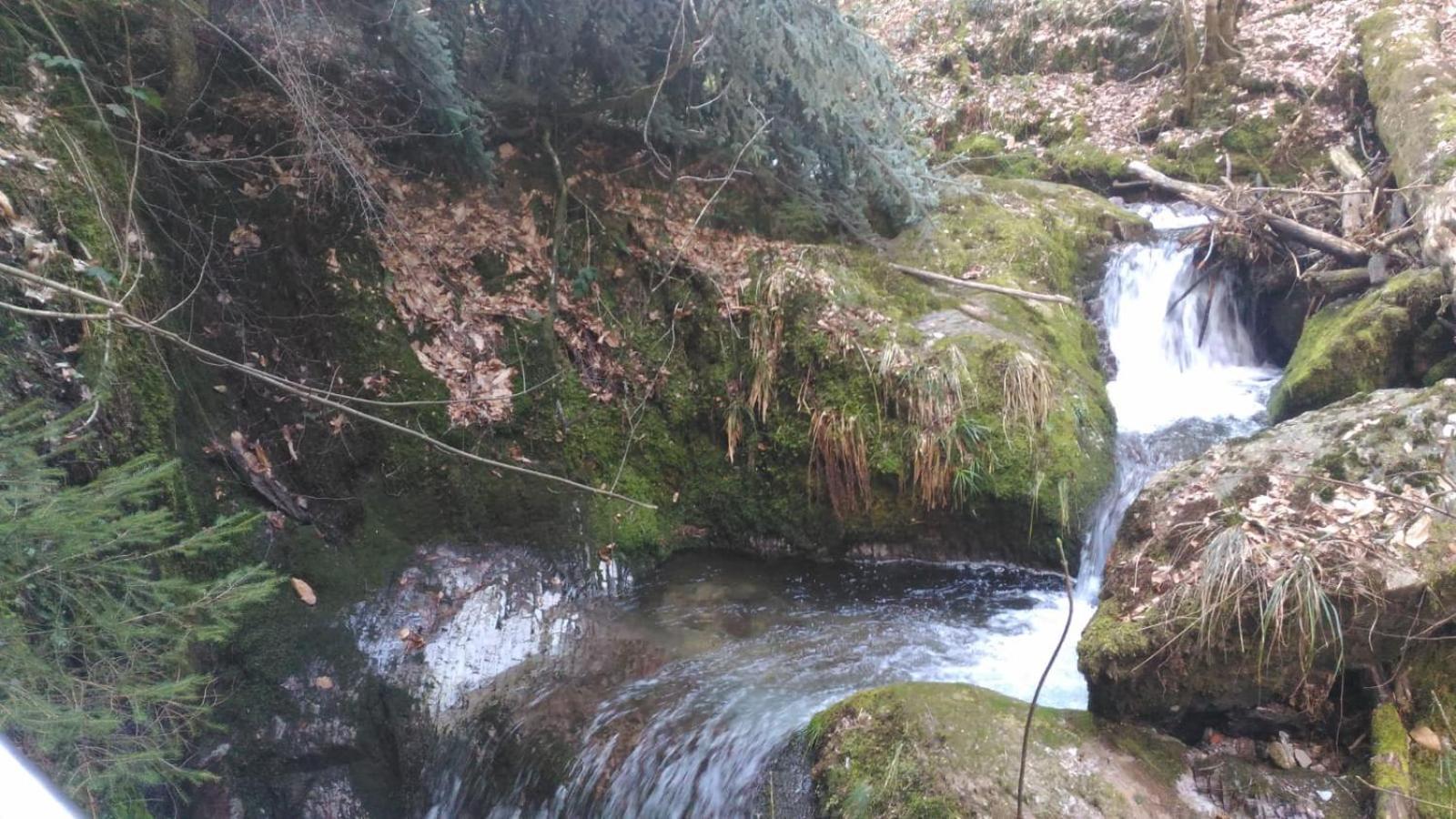 Wickys Igelnest Διαμέρισμα Malsch  Εξωτερικό φωτογραφία